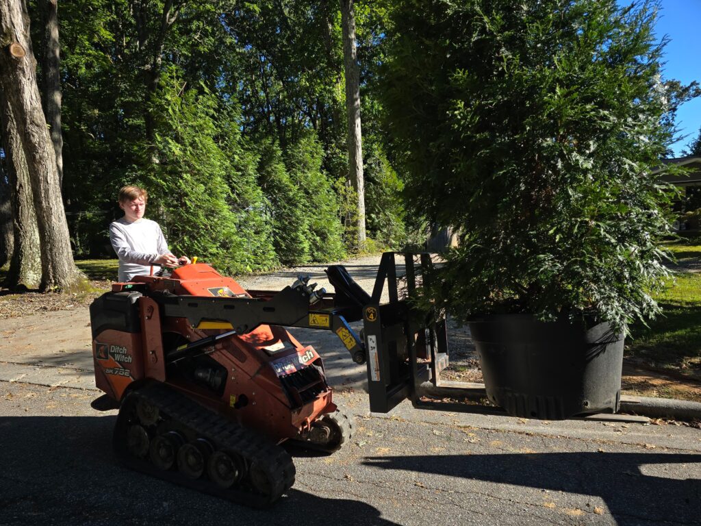 Using a Ditch Witch to carry a shrub to plant.