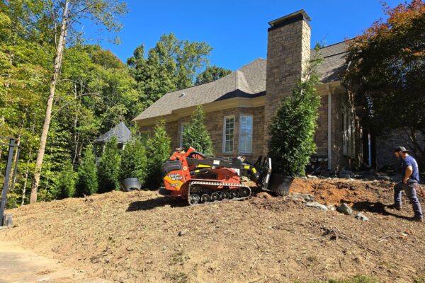 Planting a tree using a Ditch Witch